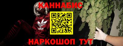 PSILOCYBIN Заводоуковск