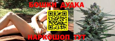 PSILOCYBIN Заводоуковск