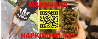 PSILOCYBIN Заводоуковск
