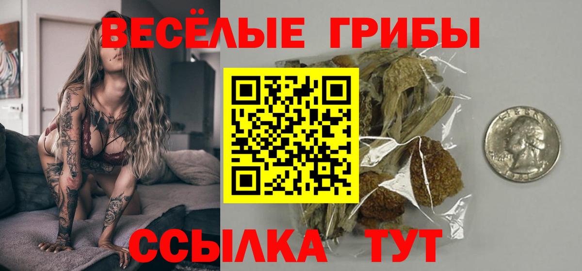 Псилоцибиновые грибы Magic Shrooms Люберцы